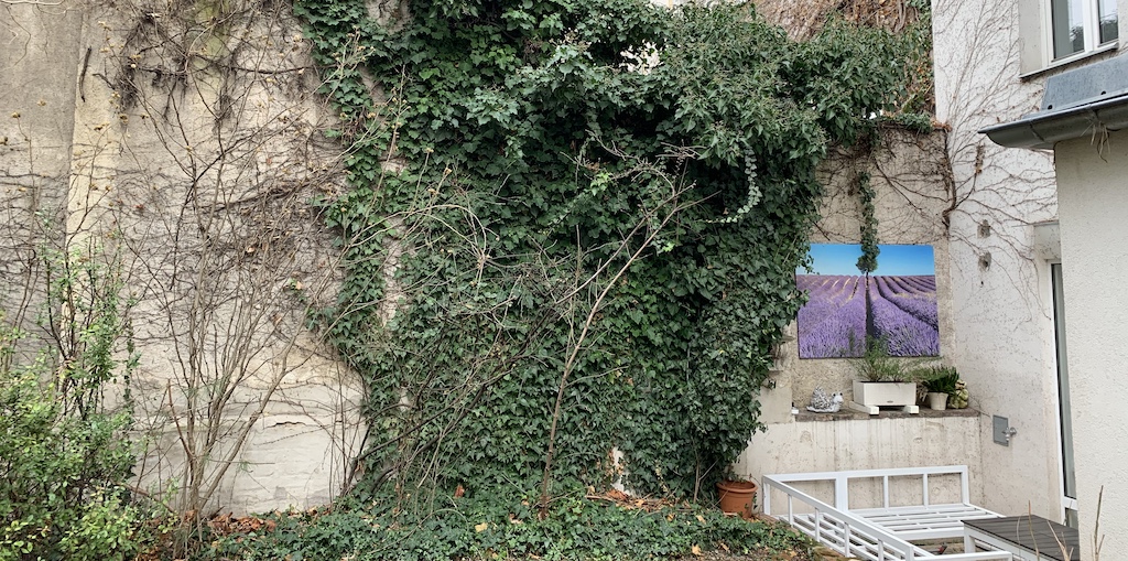 Außenbereich des Büros in der Sternwartestraße